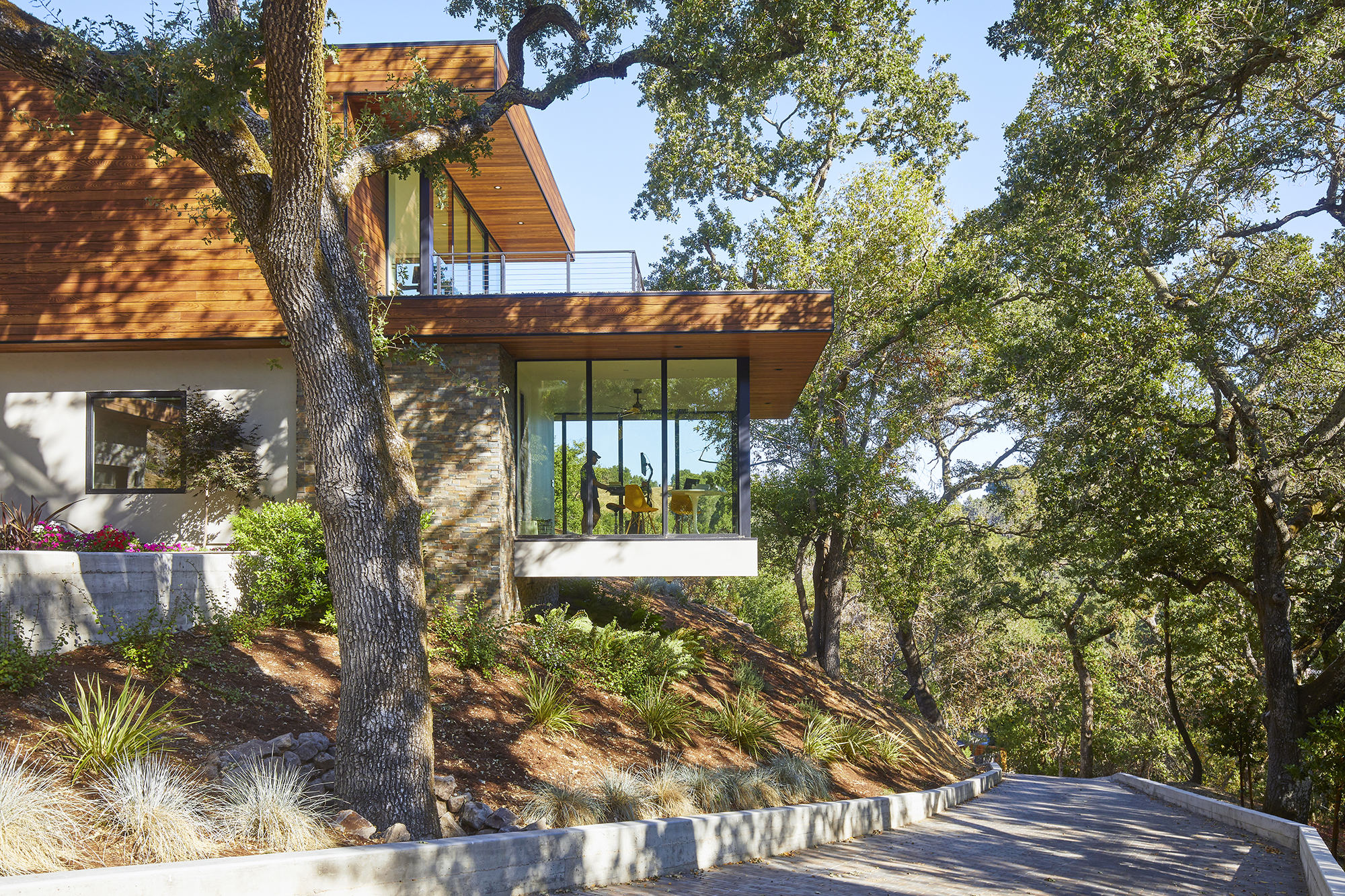 A room of a modern home is completely encased in windows, and is cantilevered over a hill that is surrounded by trees.